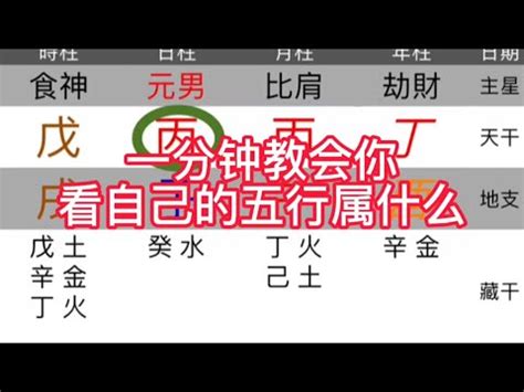 五行測驗|快速瞭解你的五行屬性